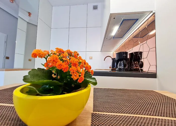 Visit Baltic - Platan Tower Victoria Appartamento *